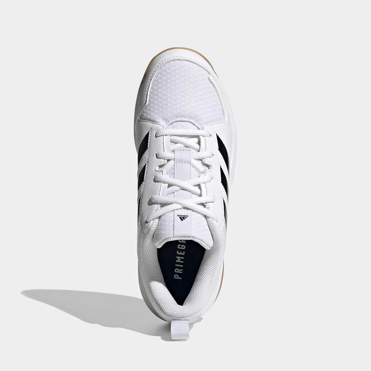 adidas Women's Ligra 7 Indoor Court Shoe